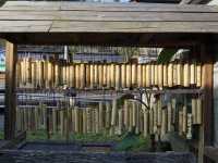 Discovering the Quiet Charm of Jingtong, Taiwan’s Forgotten Treasure
