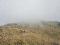 Into the Mist: The Enchanting Hike Up Sunset Peak