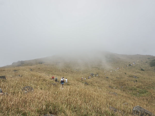 Into the Mist: The Enchanting Hike Up Sunset Peak