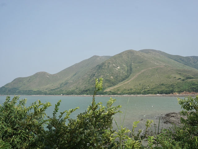 Venice of Hong Kong: A Journey Through Tai O Fishing Village