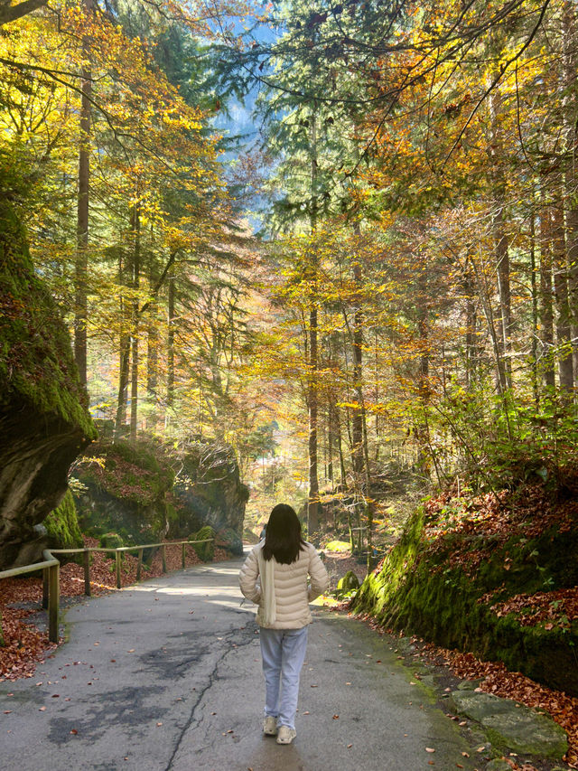 Switzerland 6 days 5 nights itinerary 