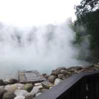 Taiwan’s Hidden Gems: Chasing Cherry Blossoms & Coastal Wonders