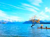 Lake Wanaka นิวซีแลนด์