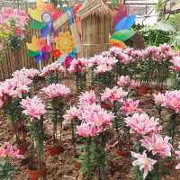 Betong Winter Flowers Garden