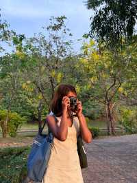 เดินเล่น ถ่ายรูป เดท ในบรรยากาศธรรมชาติกลางกรุง