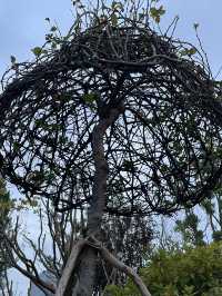 🇨🇳 Shanghai's Secret Garden: Escape the Crowds at Expo Cultural Park