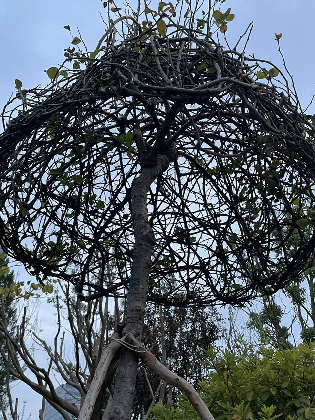 🇨🇳 Shanghai's Secret Garden: Escape the Crowds at Expo Cultural Park