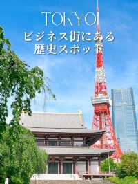 東京タワーを背景に！増上寺