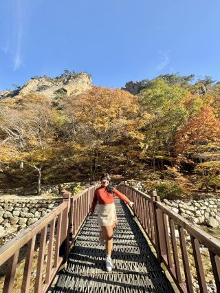 一日愛上雪嶽金峰。