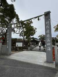 【福岡観光】御神木の大きさに驚き🌳地元で愛される神社⛩