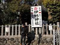 「名古屋6日全攻略！神社巡禮×水族館×古城美景，一次玩遍必去景點！」