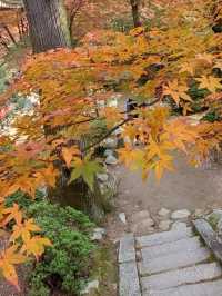 自然に溶け込む県下随一の紅葉の名所