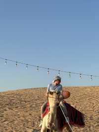 Dubai Delights: 2 Days of Iconic Sights and Thrills