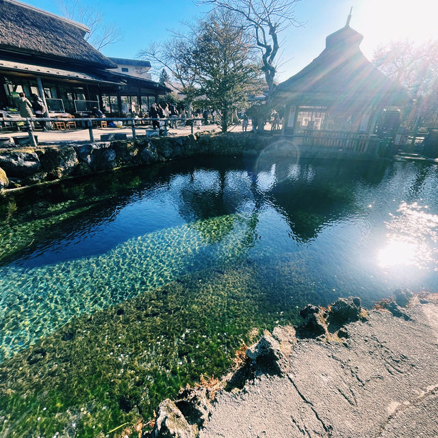 富士吉田市酒店分享