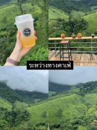 รวมคาเฟ่ วิวถ่ายรูปปัง จ.น่าน (ep.2) 