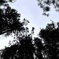 BUKIDNON TOUR