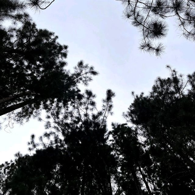 BUKIDNON TOUR