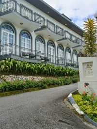 Experience Cold Weather and Enjoy High Tea at Cameron highland 