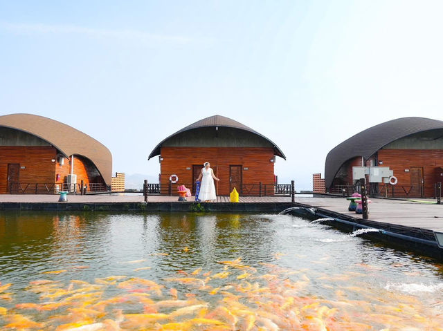นอนแพริมน้ำแบบ luxury ในเขื่อนศรีนครินทร์