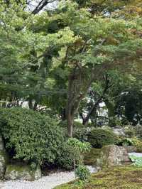  【神奈川県　鎌倉市の浄妙寺で耳を澄まし鳥のお喋りと水の音色を受け取る】 