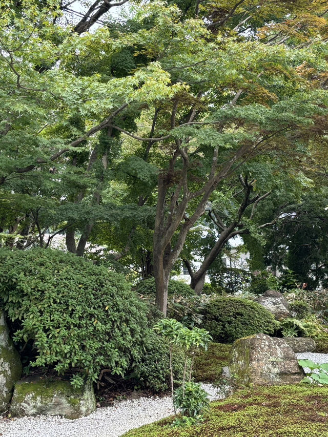  【神奈川県　鎌倉市の浄妙寺で耳を澄まし鳥のお喋りと水の音色を受け取る】 