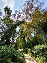 Garden within the Garden City: National Orchid Garden