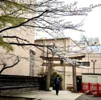 新宿花園神社 | 東京市中心賞櫻的隱秘寶地