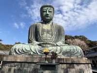 みんな生涯に一回は行く‼️ 【鎌倉大仏高徳院】