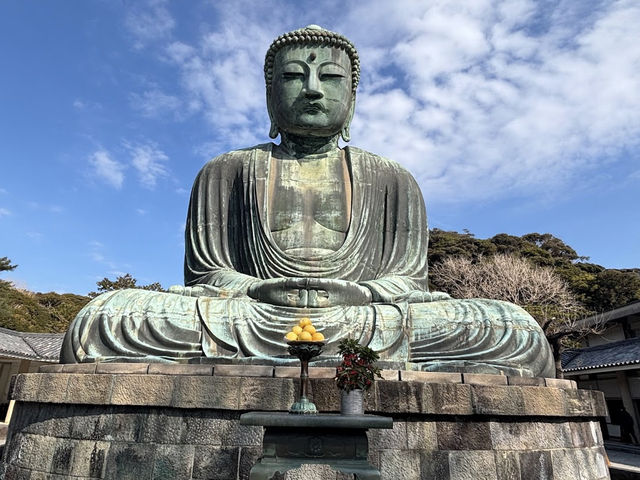 みんな生涯に一回は行く‼️ 【鎌倉大仏高徳院】