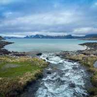 Enchanted by Hamnøy's Arctic Splendor