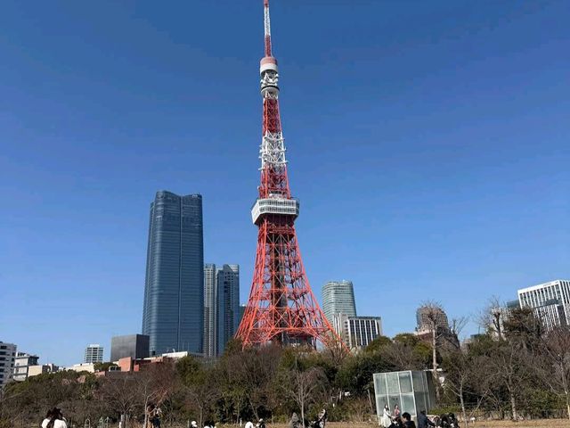 Shiba Park (芝公園)