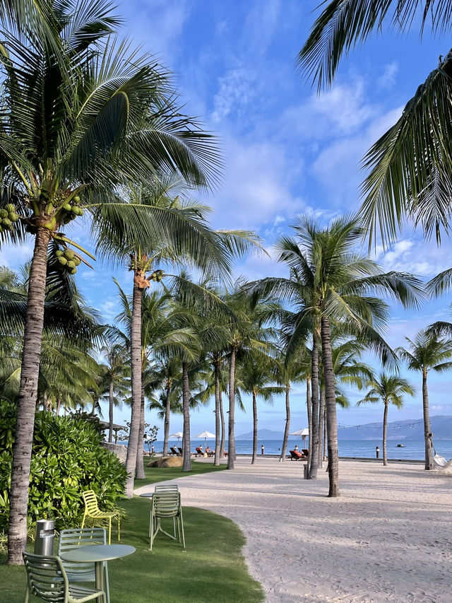 눈호강하는 가성비 나트랑 호캉스 보마리조트🌴