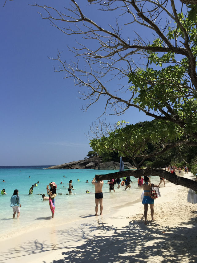 เกาะสิมิลัน น้ำใสทะเลสวย ดำน้ำฟินสุด