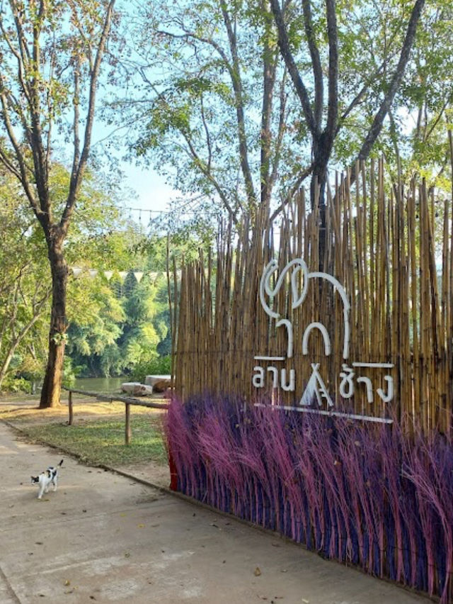 泰國🇹🇭北碧府｜最chill 的大象露營區