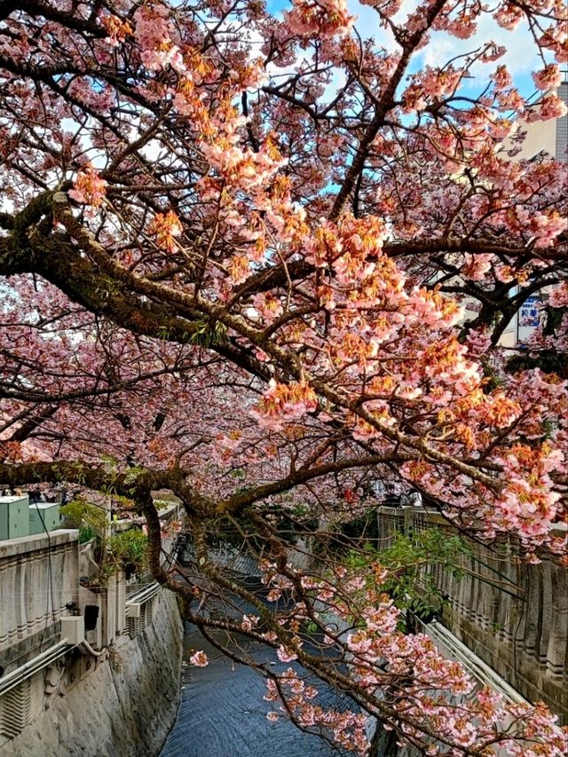 Atami: a Nostalgic Escape from Bustling Tokyo