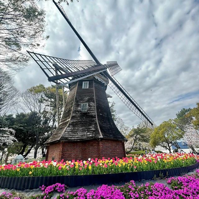 Meijo Park (名城公園)