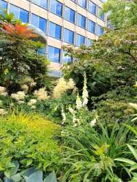 Peace Gardens