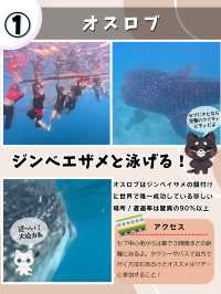 セブで行きたいスポット５選