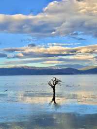 Take a scenic walk along the Erhai Lake