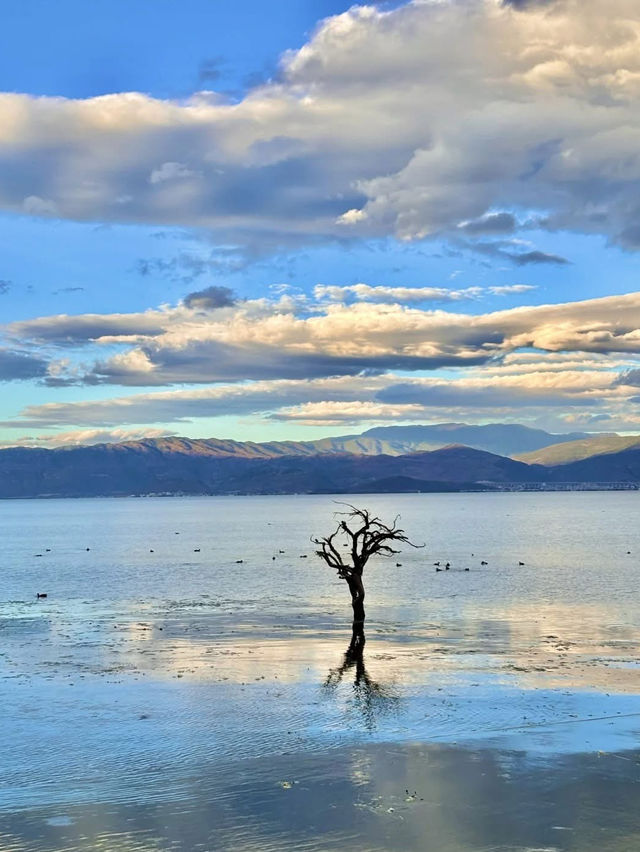 Take a scenic walk along the Erhai Lake