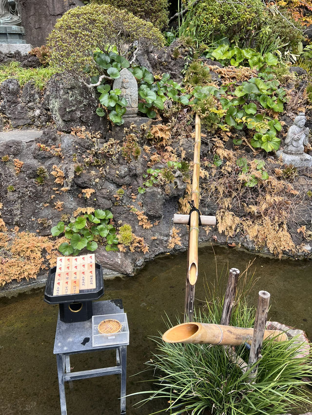 探索鎌倉長谷寺🌿 觀音菩薩與弁天窟的神秘魅力