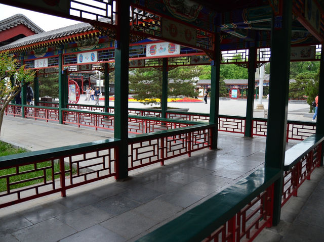 Spring at Jingshan Park🌷