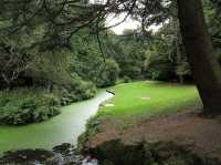 Sefton Park: A must visit Park in Liverpool!