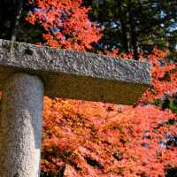 Kyoto không đông đúc - Enkouji Temple