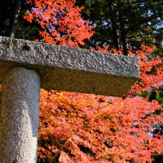 Kyoto không đông đúc - Enkouji Temple