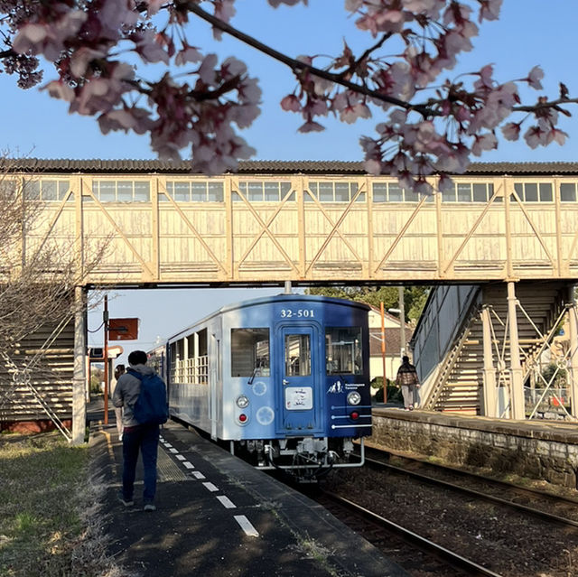 藍よしのがわトロッコ