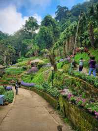 Chiang Mai 4 Days 2 Nights: Doi Suthep – Doi Pui – Doi Inthanon🇹🇭