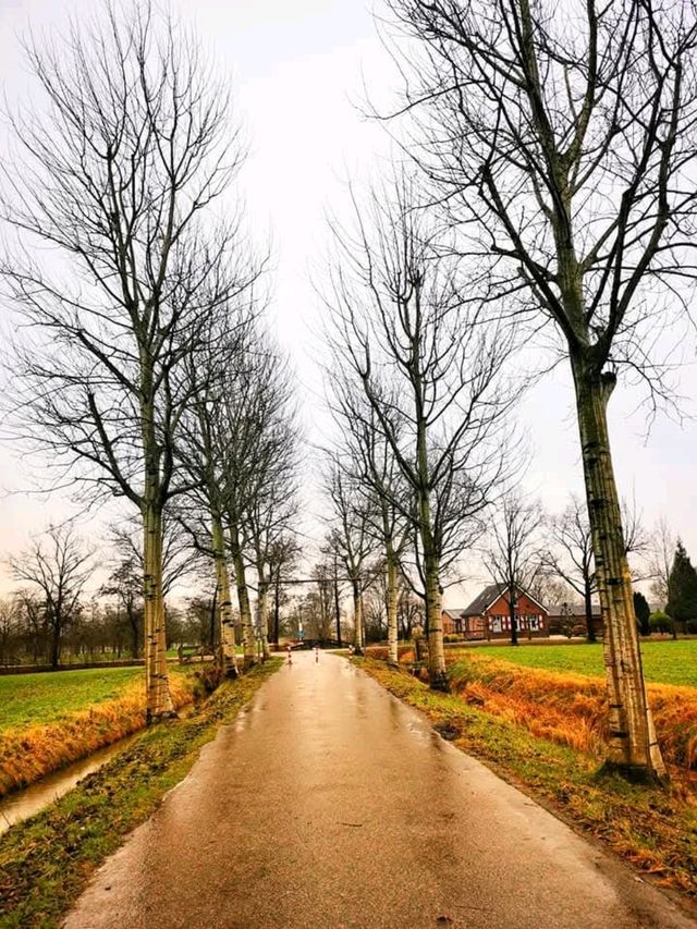 Strolling to History: A Sustainable Journey to Castle de Haar