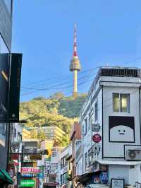 Myeongdong: A Foodie and Shopper’s Paradise