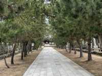 【香川】静けさの漂う歴史ある寺院・讃岐国分寺